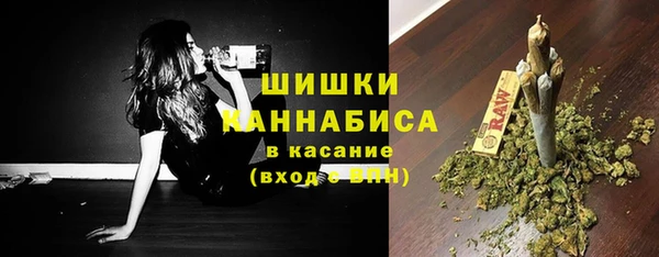 ГАЛЛЮЦИНОГЕННЫЕ ГРИБЫ Абаза