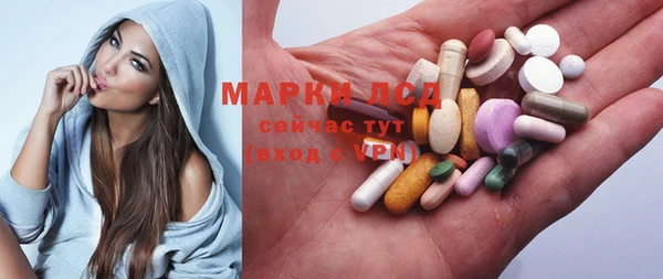 ГАЛЛЮЦИНОГЕННЫЕ ГРИБЫ Абаза