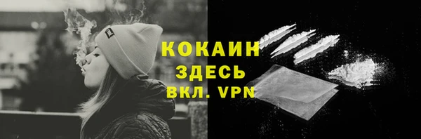 ГАЛЛЮЦИНОГЕННЫЕ ГРИБЫ Абаза
