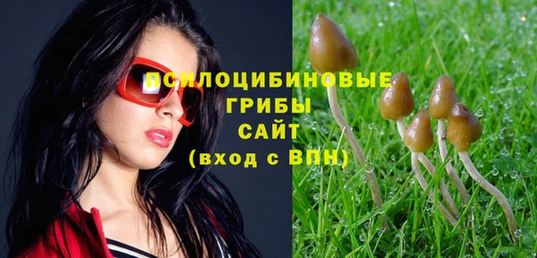 СК Абинск
