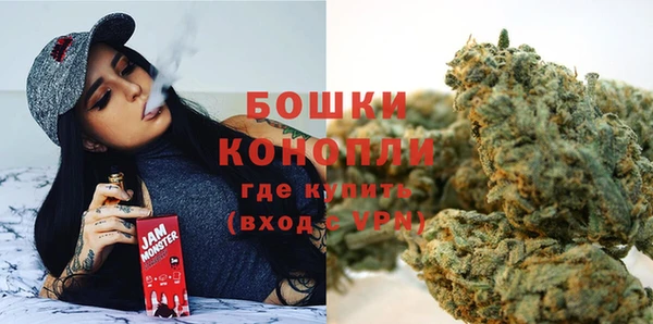 ГАЛЛЮЦИНОГЕННЫЕ ГРИБЫ Абаза