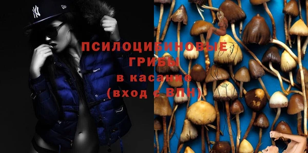 индика Бутурлиновка