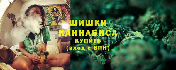 ГАЛЛЮЦИНОГЕННЫЕ ГРИБЫ Абаза