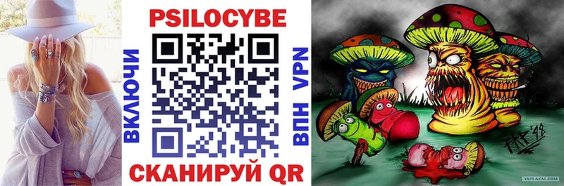 наркота  Удомля  Псилоцибиновые грибы ЛСД 