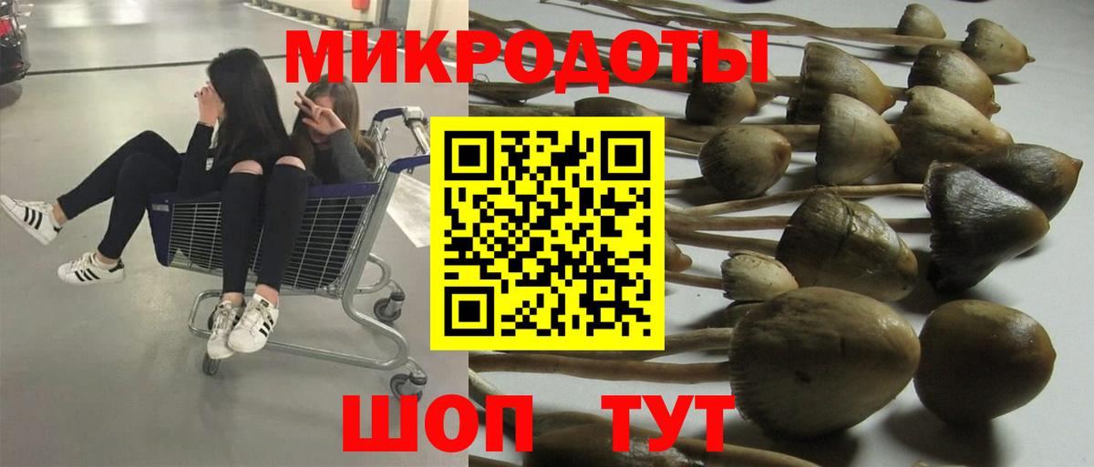 Псилоцибиновые грибы мухоморы  Вход с VPN  Псилоцибиновые грибы прущие грибы  Удомля 